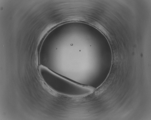 X0000077371132200611031904