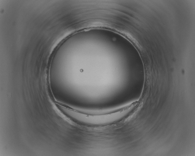 X0000077371134200611031904