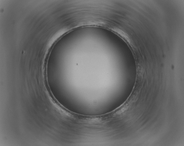 X0000077371135200611031904