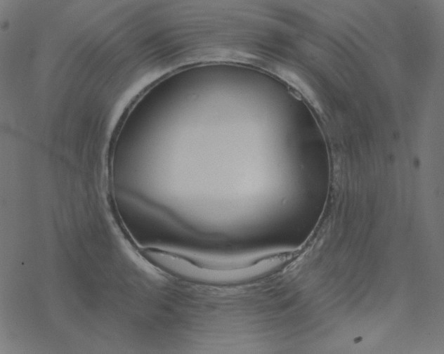 X0000077371136200611031904