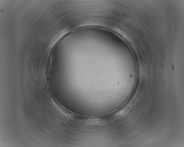 X0000077371137200611031905