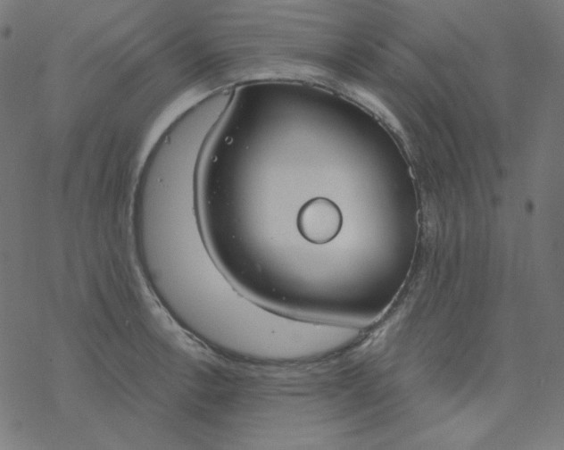 X0000077371138200611031905