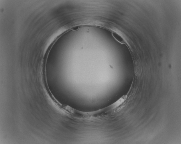 X0000077371139200611031905