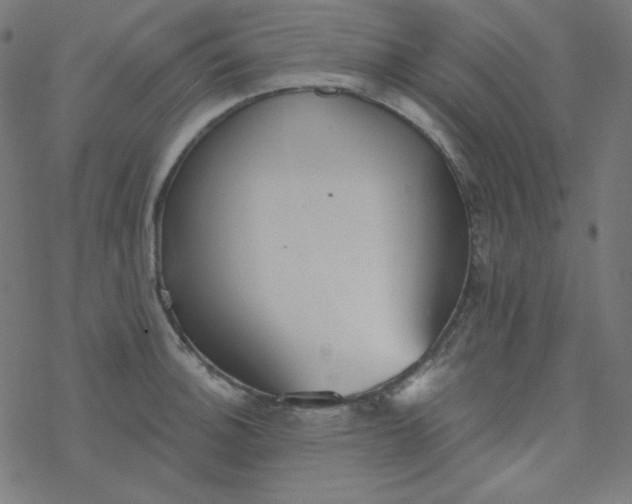 X0000077371140200611031905