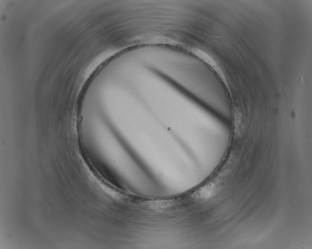 X0000077371141200611031905