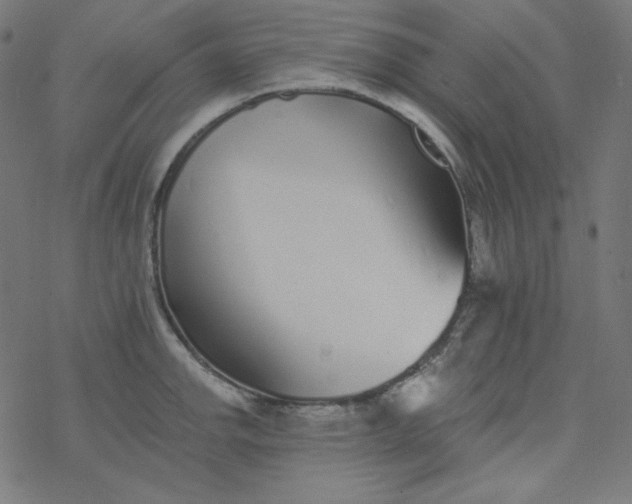 X0000077371142200611031905