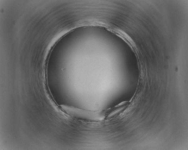 X0000077371144200611031905