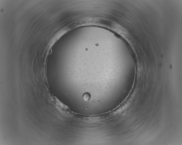 X0000077371145200611031905