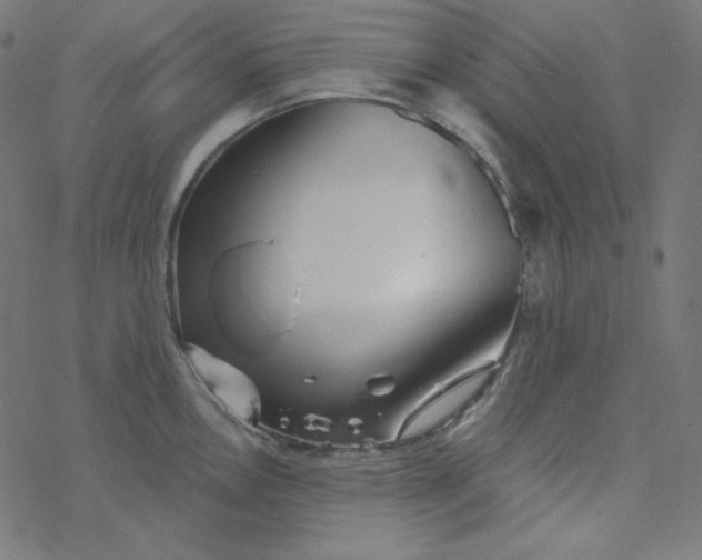 X0000077371146200611031905