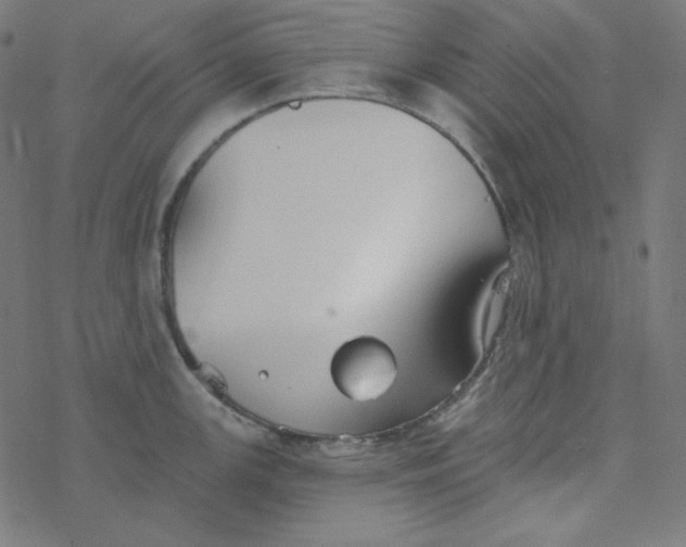 X0000077371147200611031905