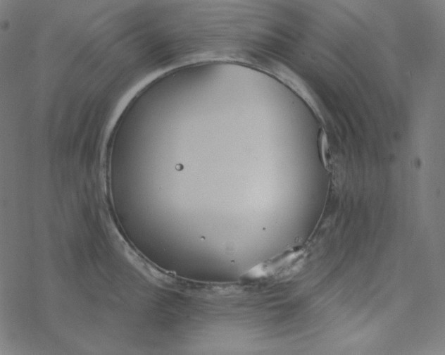 X0000077371148200611031905