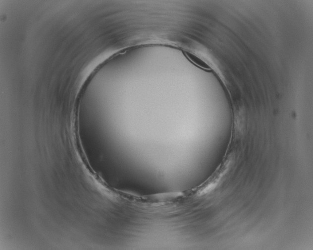 X0000077371149200611031905