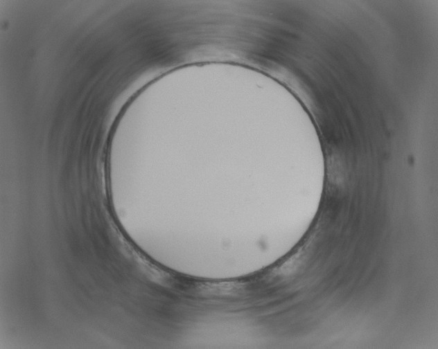 X0000077371150200611031905