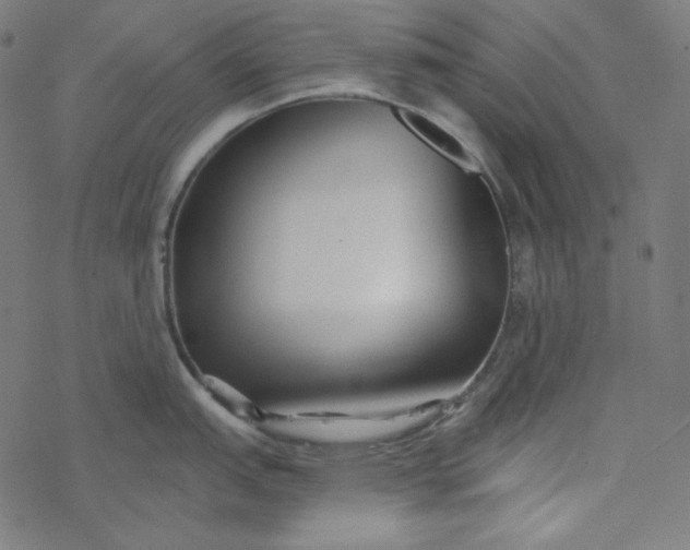 X0000077371151200611031905