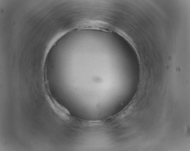 X0000077371152200611031905