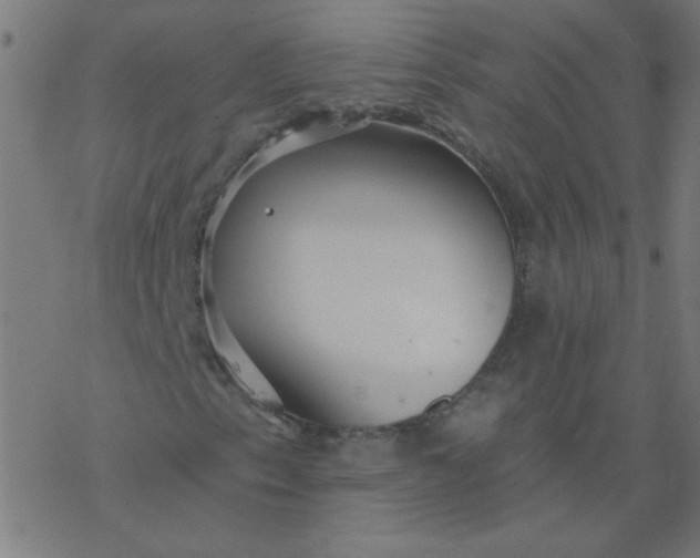 X0000077371153200611031904