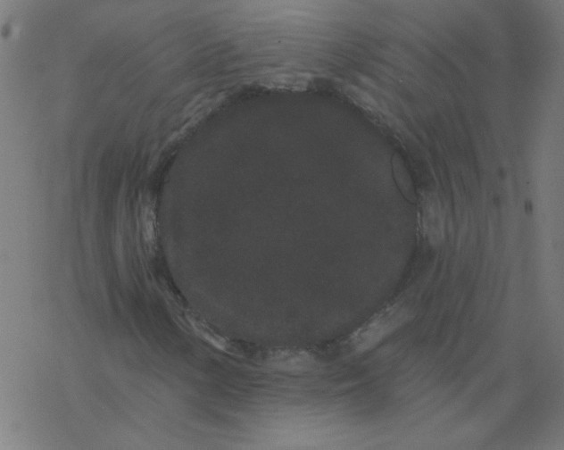 X0000077371154200611031904