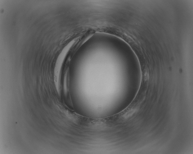 X0000077371156200611031904