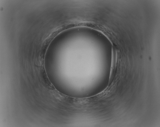 X0000077371157200611031904