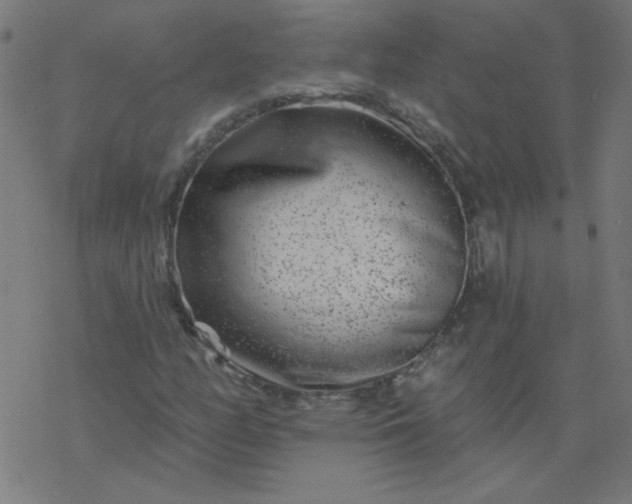 X0000077371158200611031904