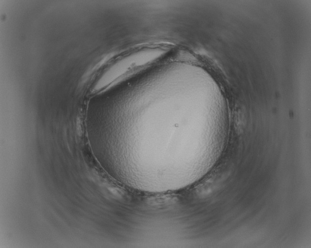 X0000077371159200611031904