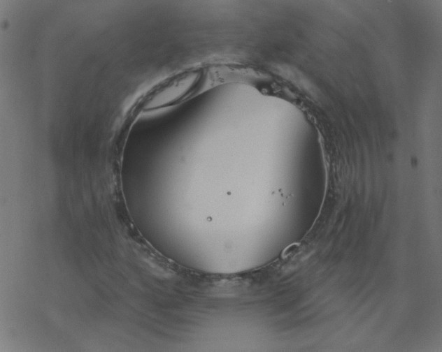 X0000077371160200611031904