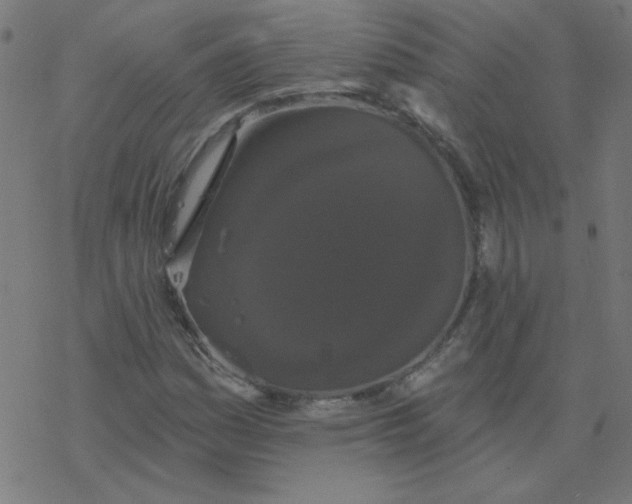 X0000077371161200611031904