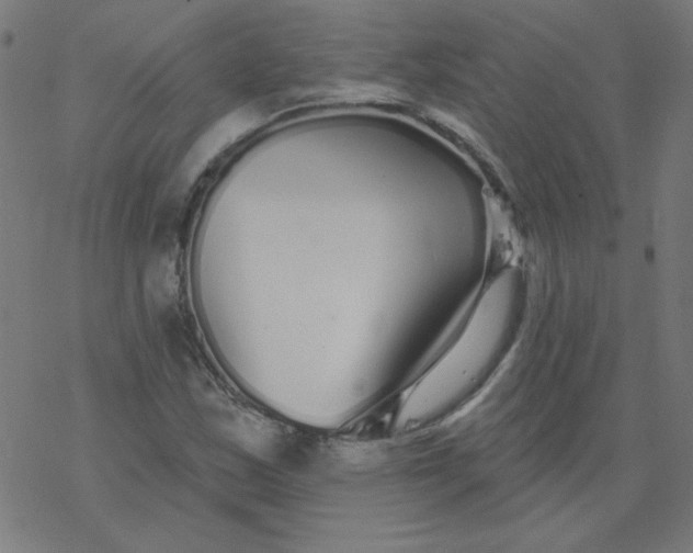 X0000077371163200611031904