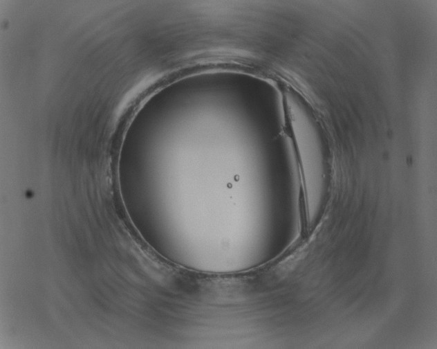 X0000077371164200611031904