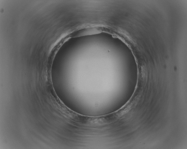 X0000077371165200611031904