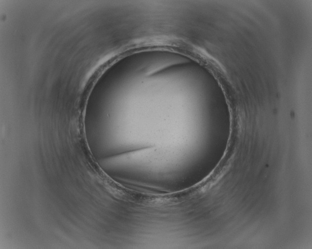 X0000077371166200611031904