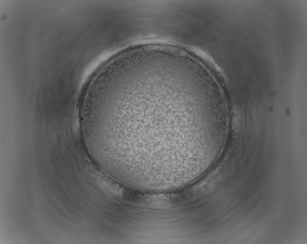 X0000077371167200611031904