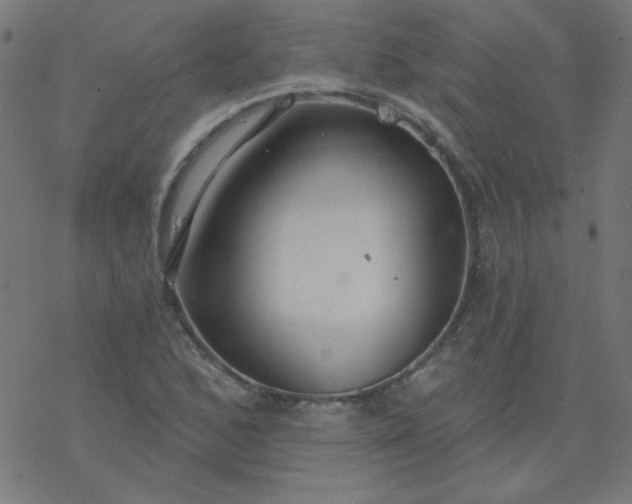 X0000077371168200611031904