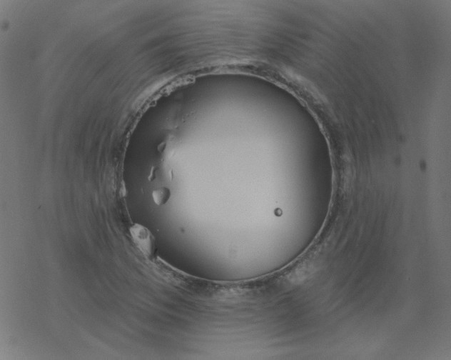 X0000077371169200611031904