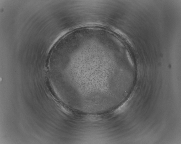 X0000077371170200611031904