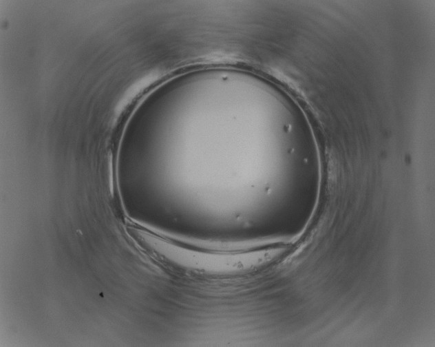 X0000077371171200611031904