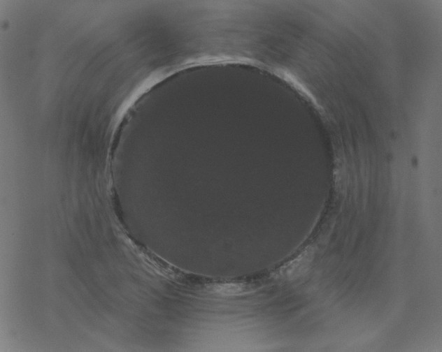 X0000077371173200611031904