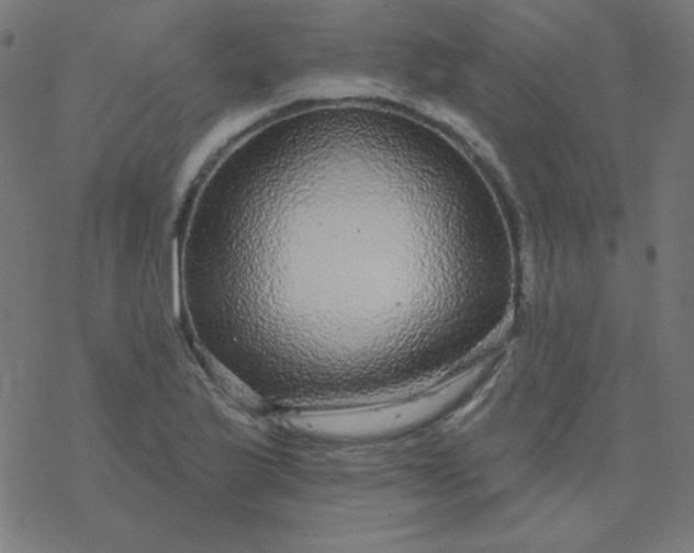 X0000077371175200611031904