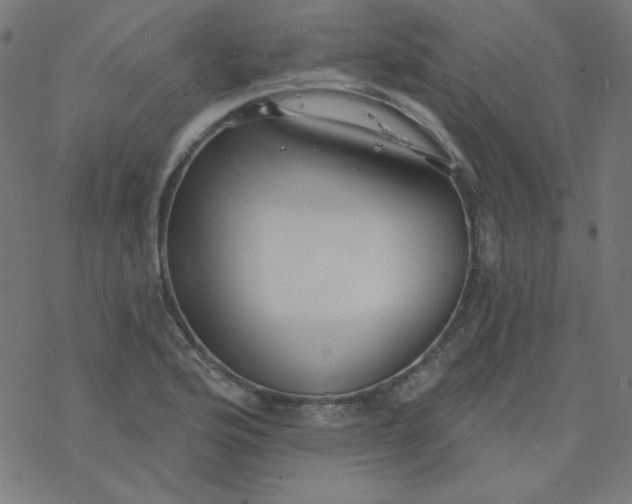 X0000077371176200611031904