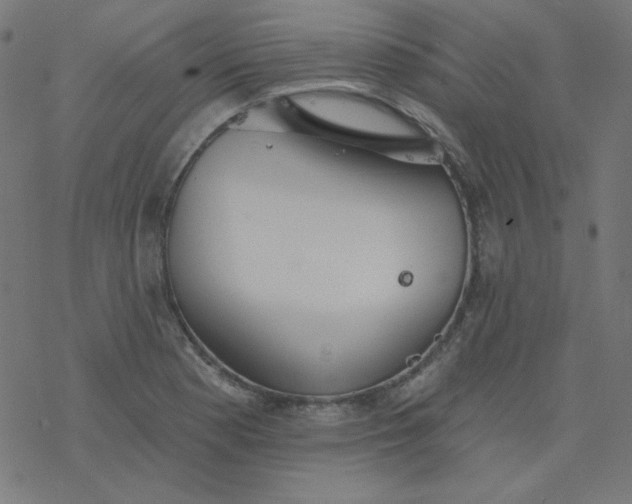 X0000077371177200611031904