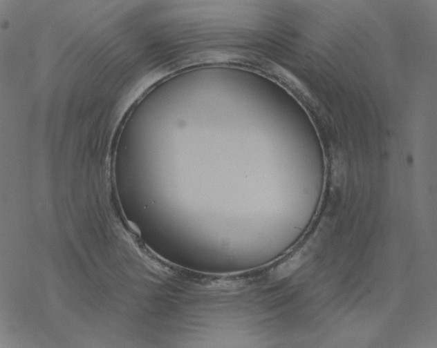 X0000077371178200611031904