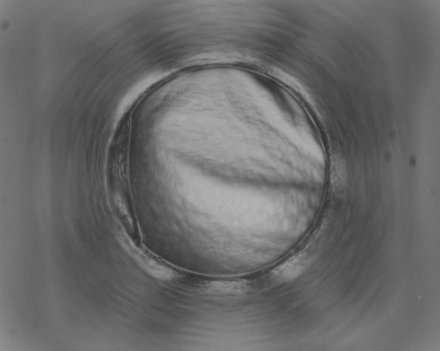 X0000077371179200611031904