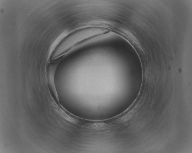 X0000077371180200611031904