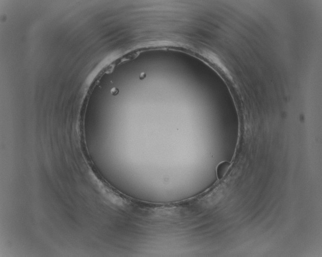 X0000077371181200611031904