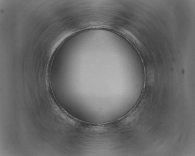 X0000077371182200611031904