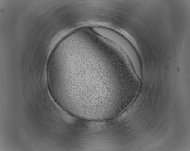 X0000077371183200611031903