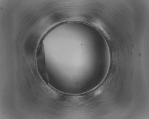 X0000077371184200611031903