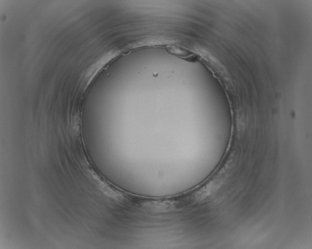 X0000077371185200611031903