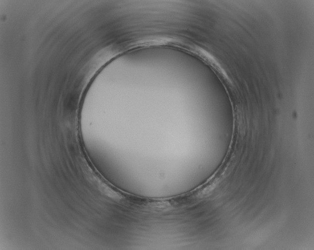 X0000077371186200611031903