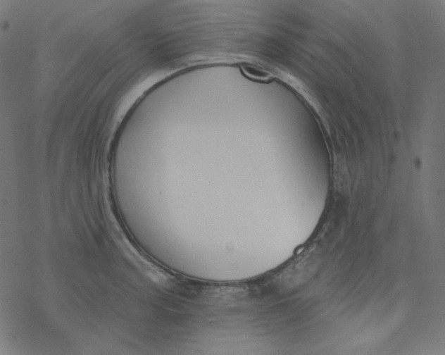 X0000077371187200611031903